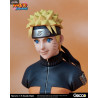 Naruto Shippuden - Buste au choix, Naruto Uzumaki, Sasuke Uchiha ou Sakura Haruno