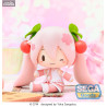 PRÉCOMMANDE - Character Vocal Series 01 - Figurine Hatsune Sakura Miku, Fuwa Petit Chibi