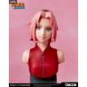 Naruto Shippuden - Buste au choix, Naruto Uzumaki, Sasuke Uchiha ou Sakura Haruno