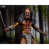PRÉCOMMANDE - Prey - Figurine Feral Predator, Ultimate