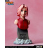 Naruto Shippuden - Buste au choix, Naruto Uzumaki, Sasuke Uchiha ou Sakura Haruno