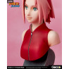 Naruto Shippuden - Buste au choix, Naruto Uzumaki, Sasuke Uchiha ou Sakura Haruno