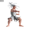 PRÉCOMMANDE - Hunter x Hunter - Figurine Netero, Hunting Archive