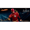 DC Comics - The Flash 2.0 figure Normal or Deluxe, Real Master Series