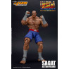 Ultra Street Fighter II: The Final Challengers - Figurine Sagat