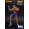 Ultra Street Fighter II: The Final Challengers - Figurine Sagat