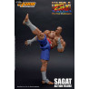 Ultra Street Fighter II: The Final Challengers - Figurine Sagat