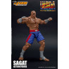 Ultra Street Fighter II: The Final Challengers - Figurine Sagat