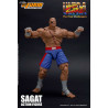 Ultra Street Fighter II: The Final Challengers - Sagat figure