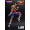 Ultra Street Fighter II: The Final Challengers - Sagat figure