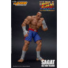 Ultra Street Fighter II: The Final Challengers - Sagat figure
