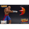 Ultra Street Fighter II: The Final Challengers - Figurine Sagat