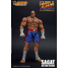 Ultra Street Fighter II: The Final Challengers - Sagat figure