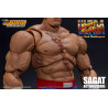 Ultra Street Fighter II: The Final Challengers - Figurine Sagat
