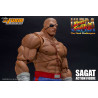 Ultra Street Fighter II: The Final Challengers - Sagat figure