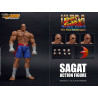 Ultra Street Fighter II: The Final Challengers - Figurine Sagat