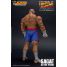 Ultra Street Fighter II: The Final Challengers - Figurine Sagat