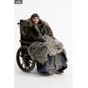 Game of Thrones - Bran Stark figure Classic or Deluxe