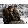 Game of Thrones - Bran Stark figure Classic or Deluxe