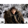 Game of Thrones - Bran Stark figure Classic or Deluxe