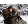 Game of Thrones - Bran Stark figure Classic or Deluxe