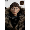 Game of Thrones - Bran Stark figure Classic or Deluxe