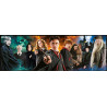 Harry Potter - Panorama Jigsaw Puzzle