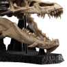 PRE ORDER - The Lord of the Rings - Skull of Smaug figure
