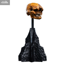 PRE ORDER - The Lord of the...