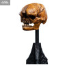 PRE ORDER - The Lord of the Rings - Skull of a Misty Mountain Goblin figure
