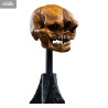 PRE ORDER - The Lord of the Rings - Skull of a Misty Mountain Goblin figure