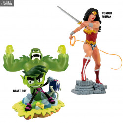DC Comics - Figurine Wonder...