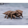 PRÉCOMMANDE - Godzilla - Figurine Megaguirus Evolution Set, S.H. Monster Arts