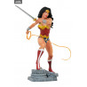 DC Comics - Wonder Woman or Beast Boy figure, Gallery