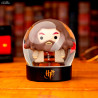 Harry Potter - Harry, Hermione, Hagrid or Dumbledore snow globe