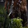 PRÉCOMMANDE - Star Wars Episode VI - Figurine Chewbacca & Tokkat, Art Scale