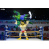 PREORDER - Teenage Mutant Ninja Turtles (Mirage Comics) - Chote figure