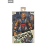 PRÉCOMMANDE - Tortues Ninja (Mirage Comics) - Figurine Stump Wrestling Ace Duck