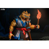 PRÉCOMMANDE - Tortues Ninja (Mirage Comics) - Figurine Stump Wrestling Ace Duck