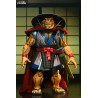 PRÉCOMMANDE - Tortues Ninja (Mirage Comics) - Figurine Stump Wrestling Ace Duck