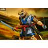 PRÉCOMMANDE - Tortues Ninja (Mirage Comics) - Figurine Stump Wrestling Ace Duck