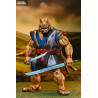 PRÉCOMMANDE - Tortues Ninja (Mirage Comics) - Figurine Stump Wrestling Ace Duck