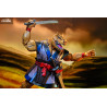PRÉCOMMANDE - Tortues Ninja (Mirage Comics) - Figurine Stump Wrestling Ace Duck