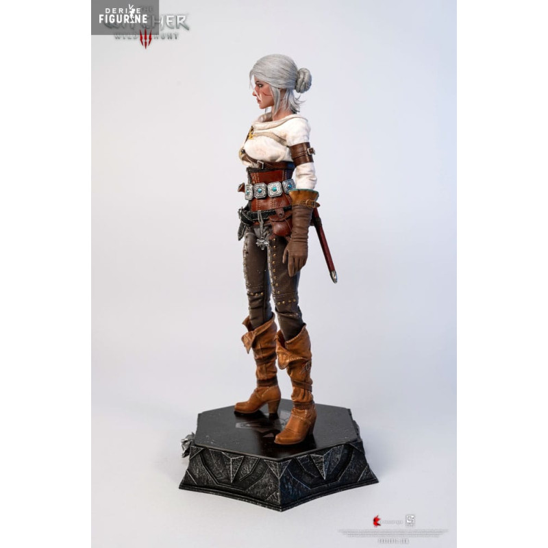 PRÉCOMMANDE - The Witcher...