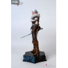 PRÉCOMMANDE - The Witcher 3: Wild Hunt - Figurine Ciri of Cintra