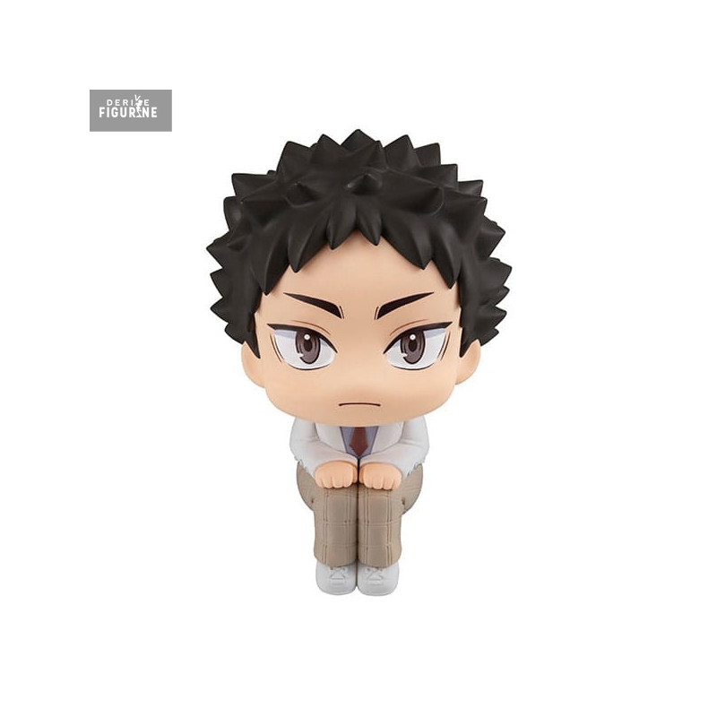 PRE ORDER - Haikyu!! - Hajime Iwaizumi figure, Look Up