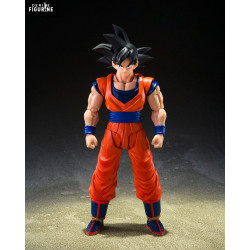 PRE ORDER - Dragon Ball Z -...