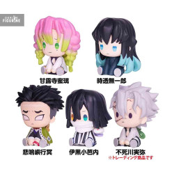 PRE ORDER - Demon Slayer:...