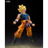 PRE ORDER - Dragon Ball Z - Super Saiyan Son Goku figure (Fighter of Rage), S.H.Figuarts