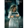 Harry Potter - Bellatrix Lestrange figure ver. Prisoner, Standard or with Dobby